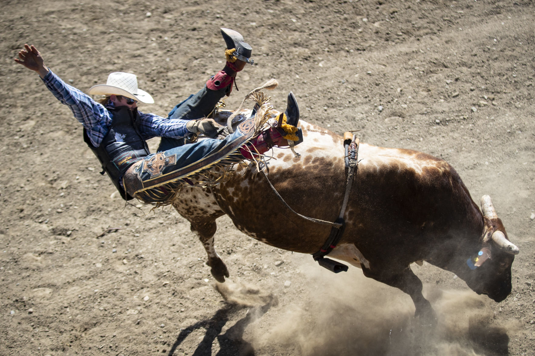 Rodeo Roundup